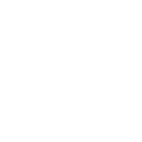 Experienced Professionals