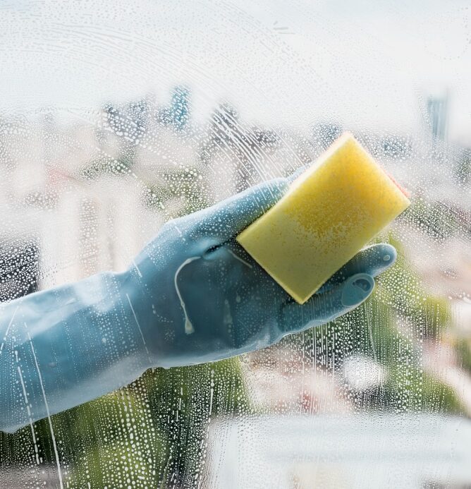 Skylight Cleaning Services