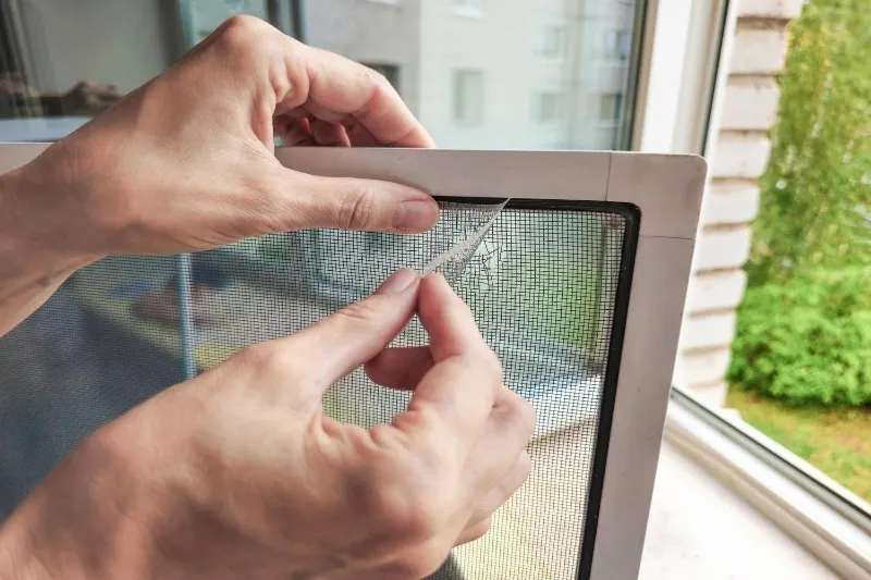 screen repair in Lake Stevens