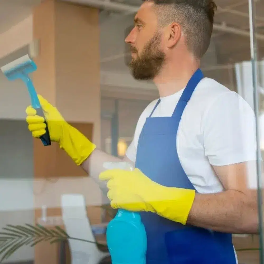 exterior window cleaning lake stevens