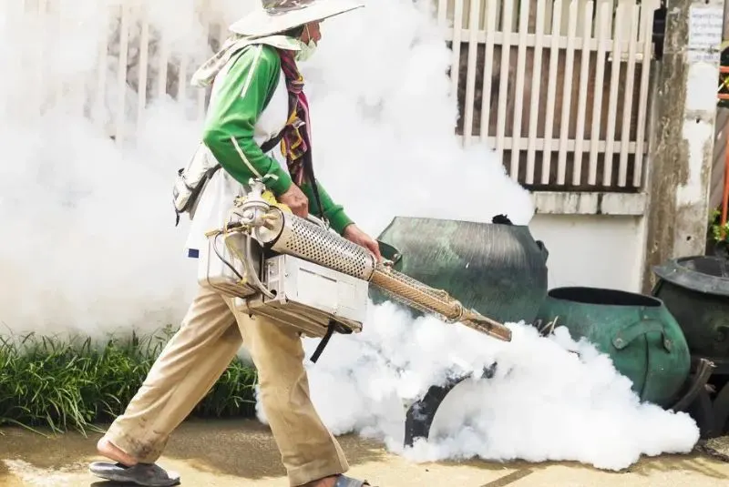 gutter cleaning in lake stevens