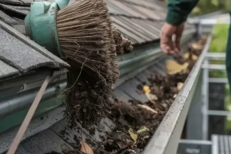 gutter cleaning lake stevens