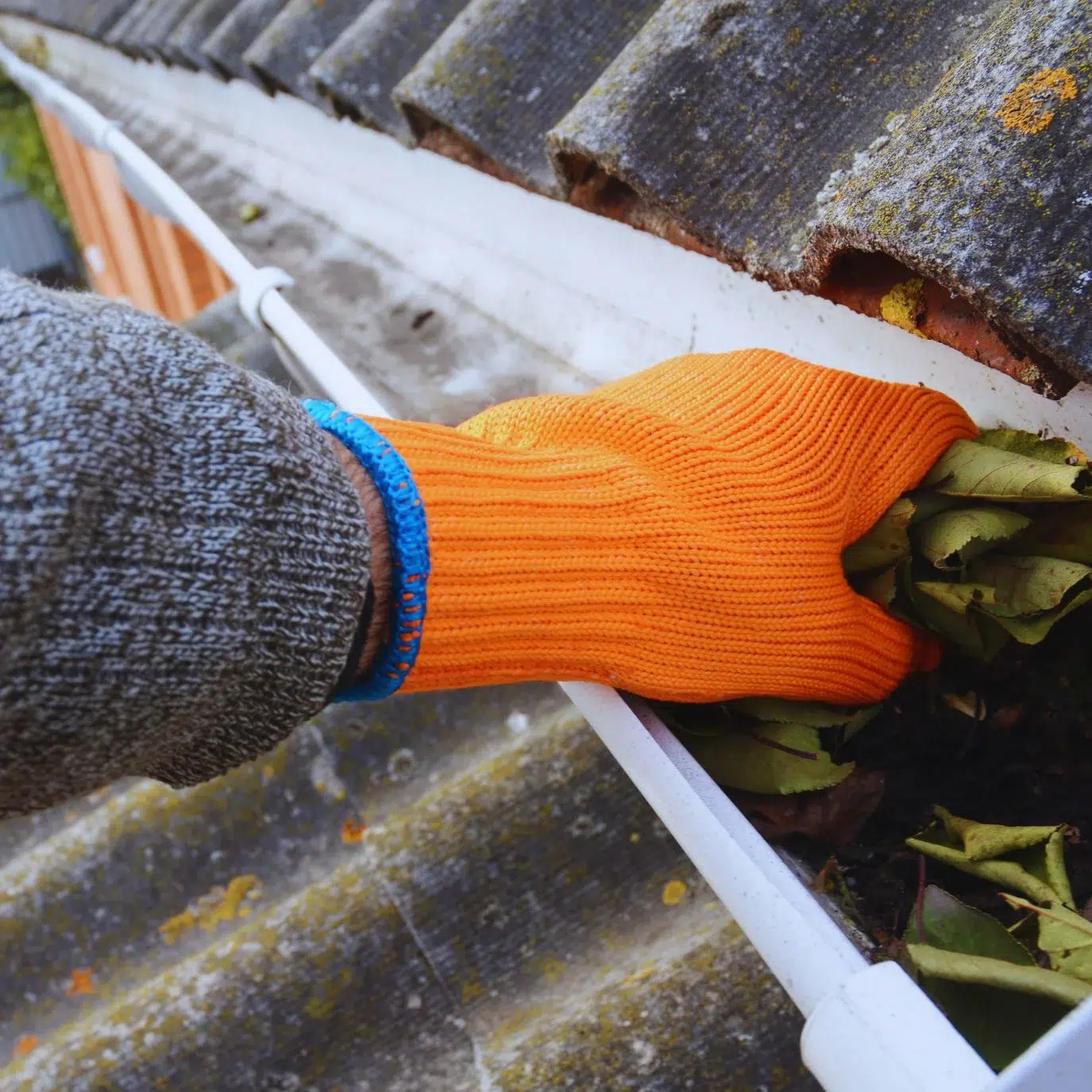 gutter cleaning
