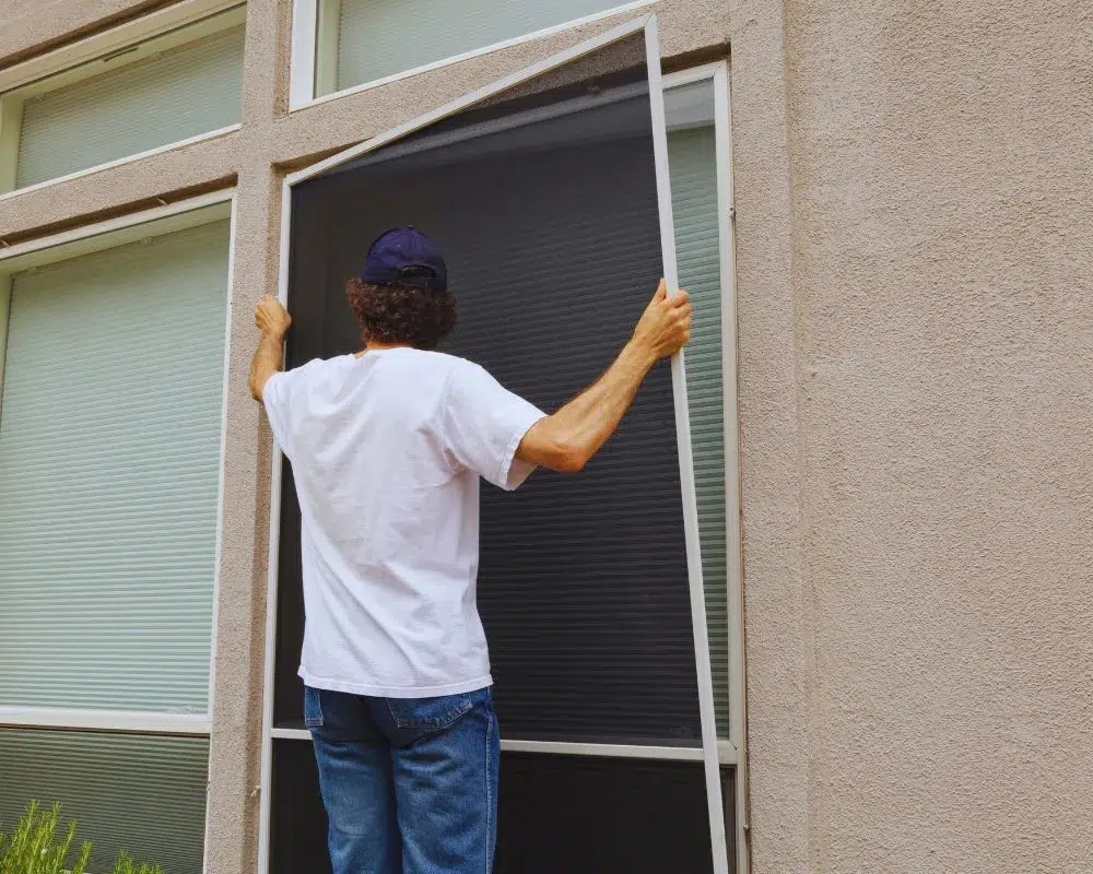 Interior Window Cleaning in Everett