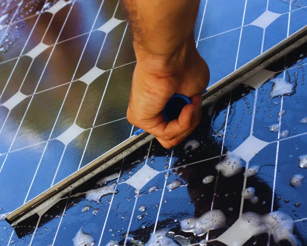 solar panel cleaning