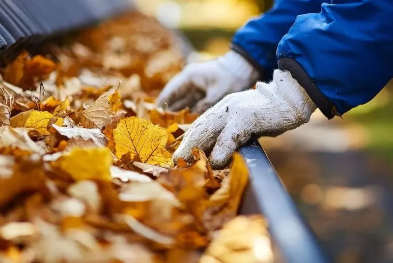 Gutter-Cleaning