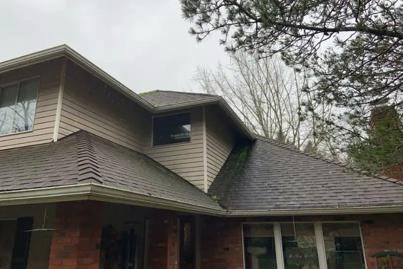 gutter cleaning in Everett
